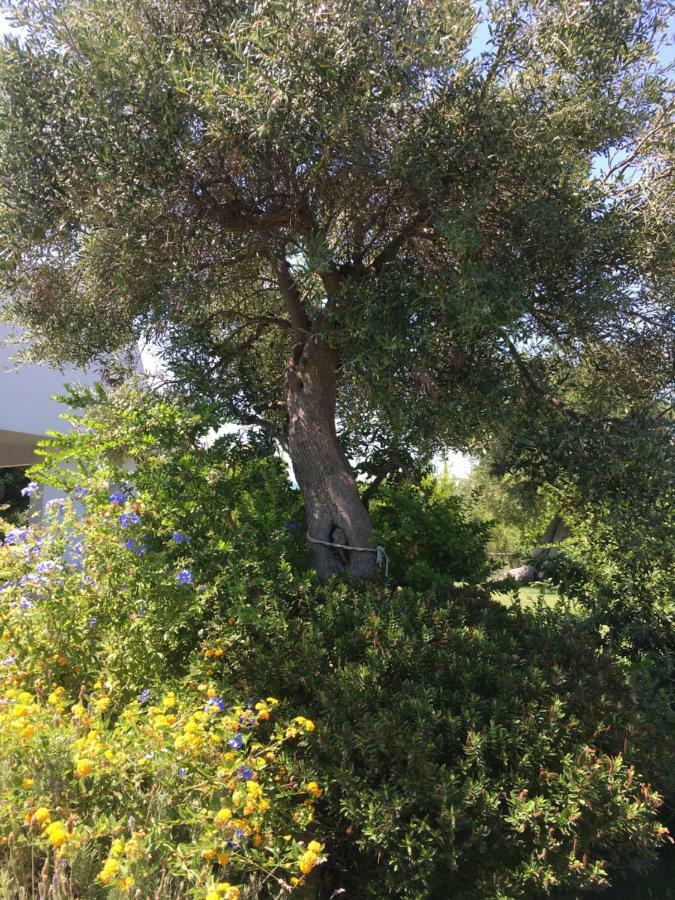 Villa Nel Blu Dipinto Di Blu Polignano a Mare Exterior foto