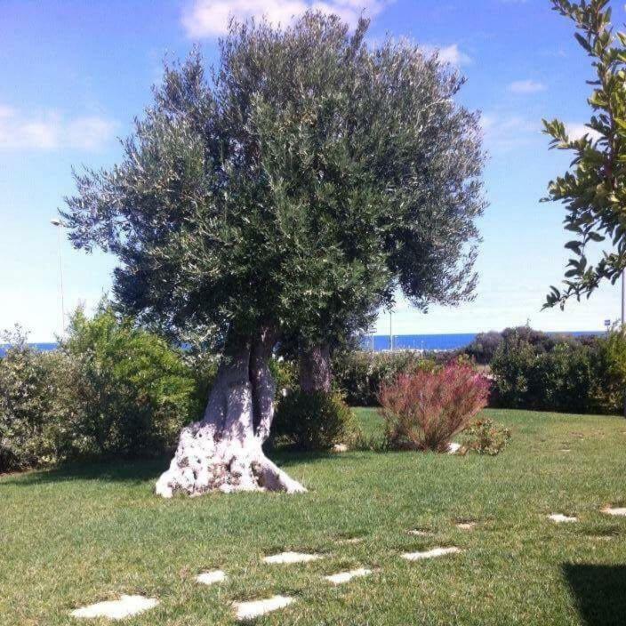 Villa Nel Blu Dipinto Di Blu Polignano a Mare Exterior foto